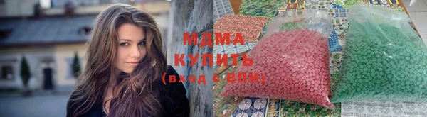 молекула духа Богданович