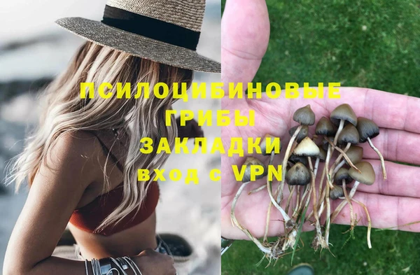 молекула духа Богданович