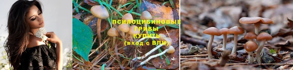эйфоретик Богородск