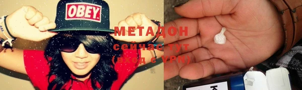 молекула духа Богданович