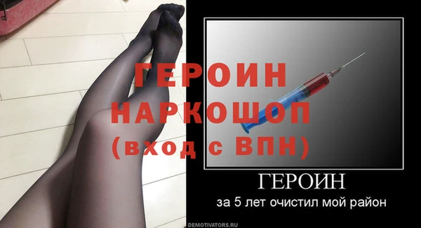 молекула духа Богданович
