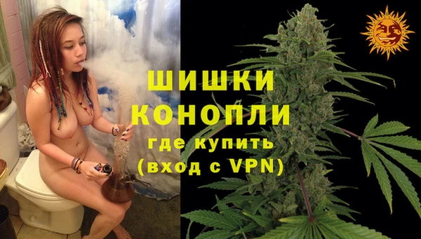 молекула духа Богданович