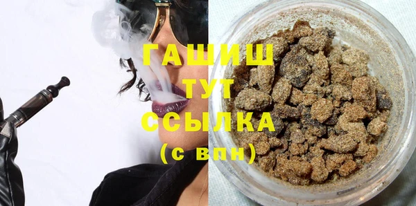 молекула духа Богданович
