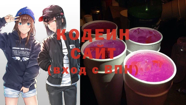 молекула духа Богданович