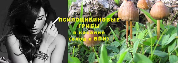 стаф Зеленодольск