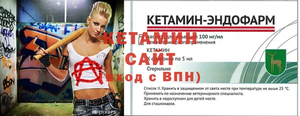 молекула духа Богданович