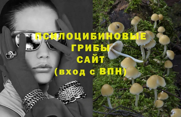 эйфоретик Богородск