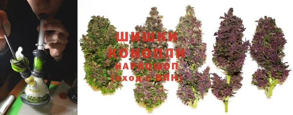 эйфоретик Богородск