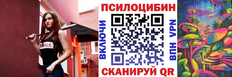 гидра сайт  купить наркотики сайты  Кола  Псилоцибиновые грибы Psilocybe 